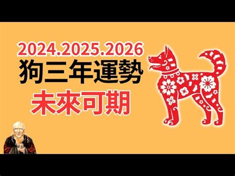 1982年五行屬什麼|1982年屬狗是什麼命，1982年出生人的命運